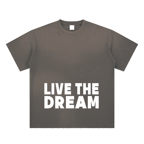 Live the Dream Hand-Frayed Sunfade Paint Splatter T-Shirt