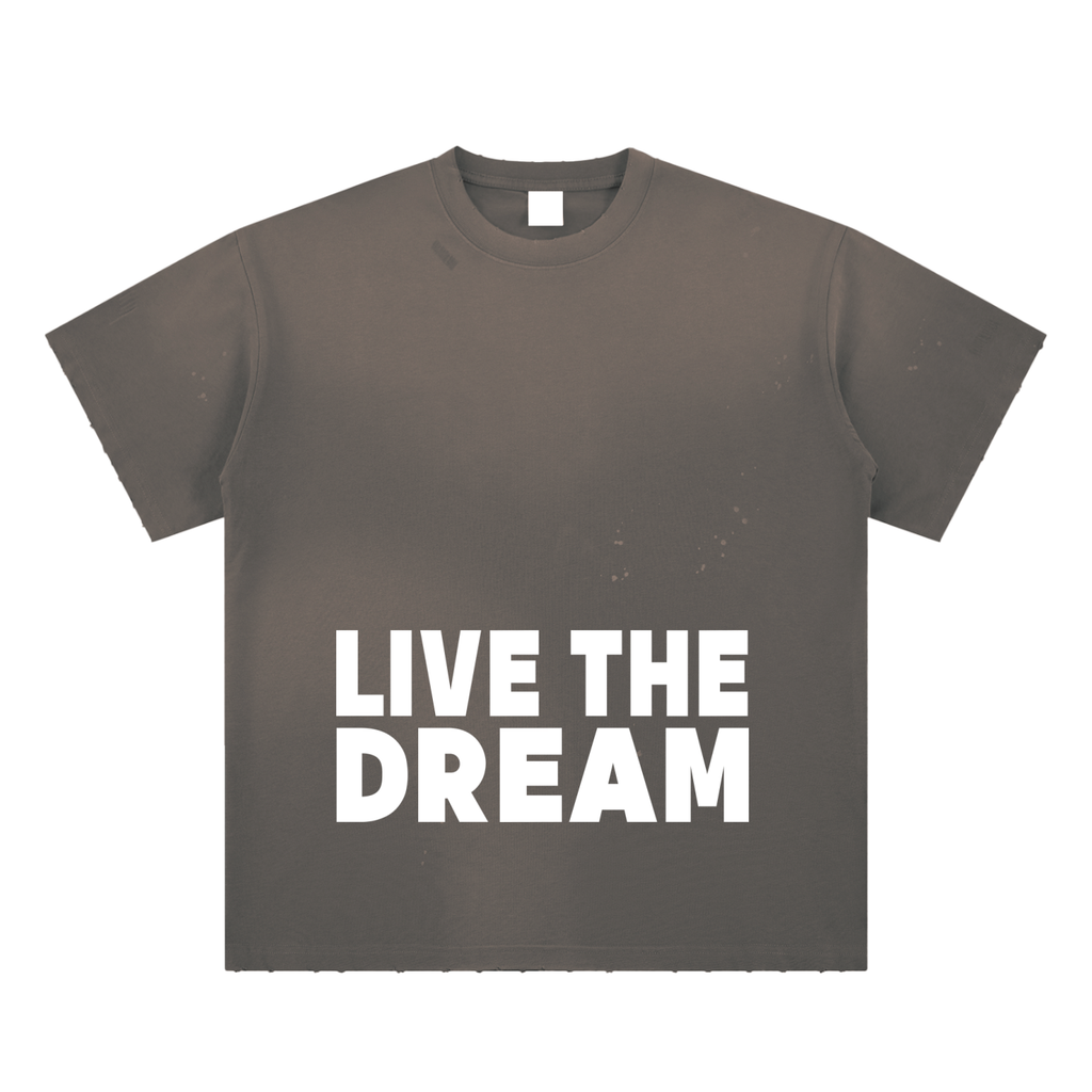Live the Dream Hand-Frayed Sunfade Paint Splatter T-Shirt