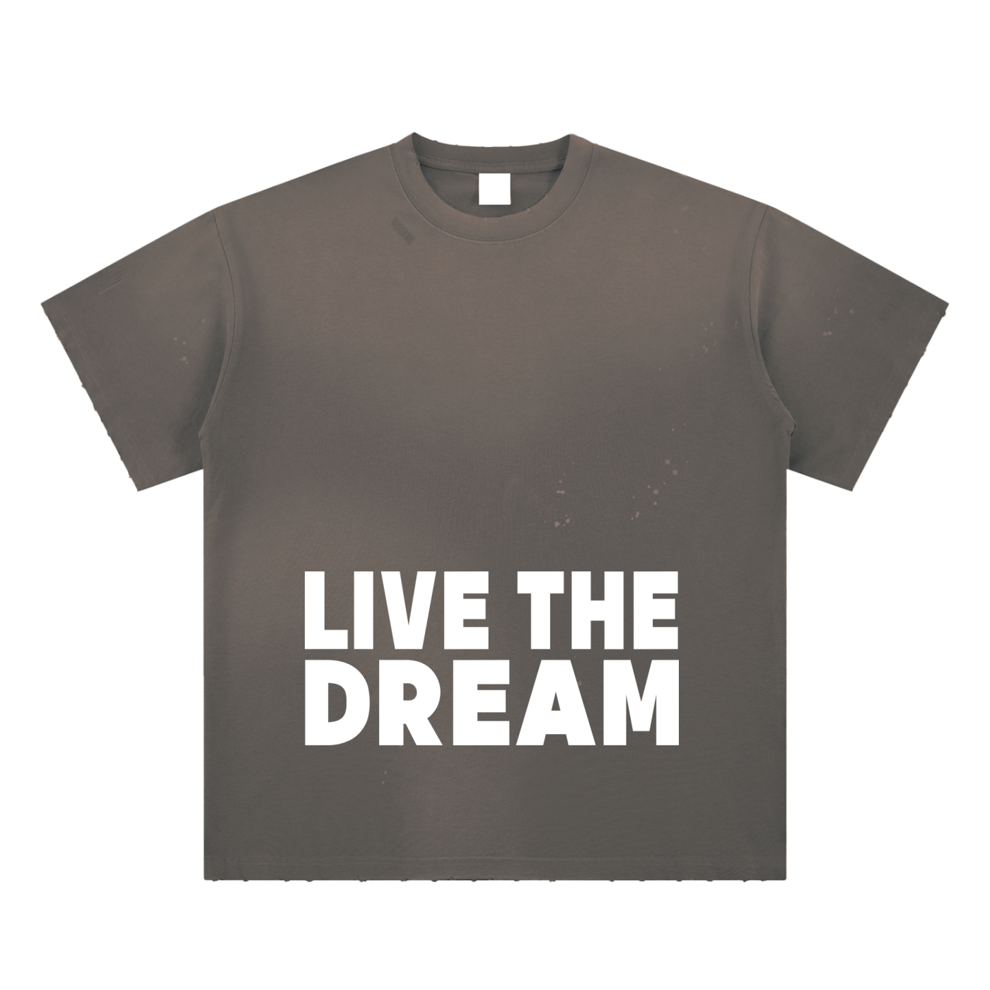 Live the Dream Hand-Frayed Sunfade Paint Splatter T-Shirt